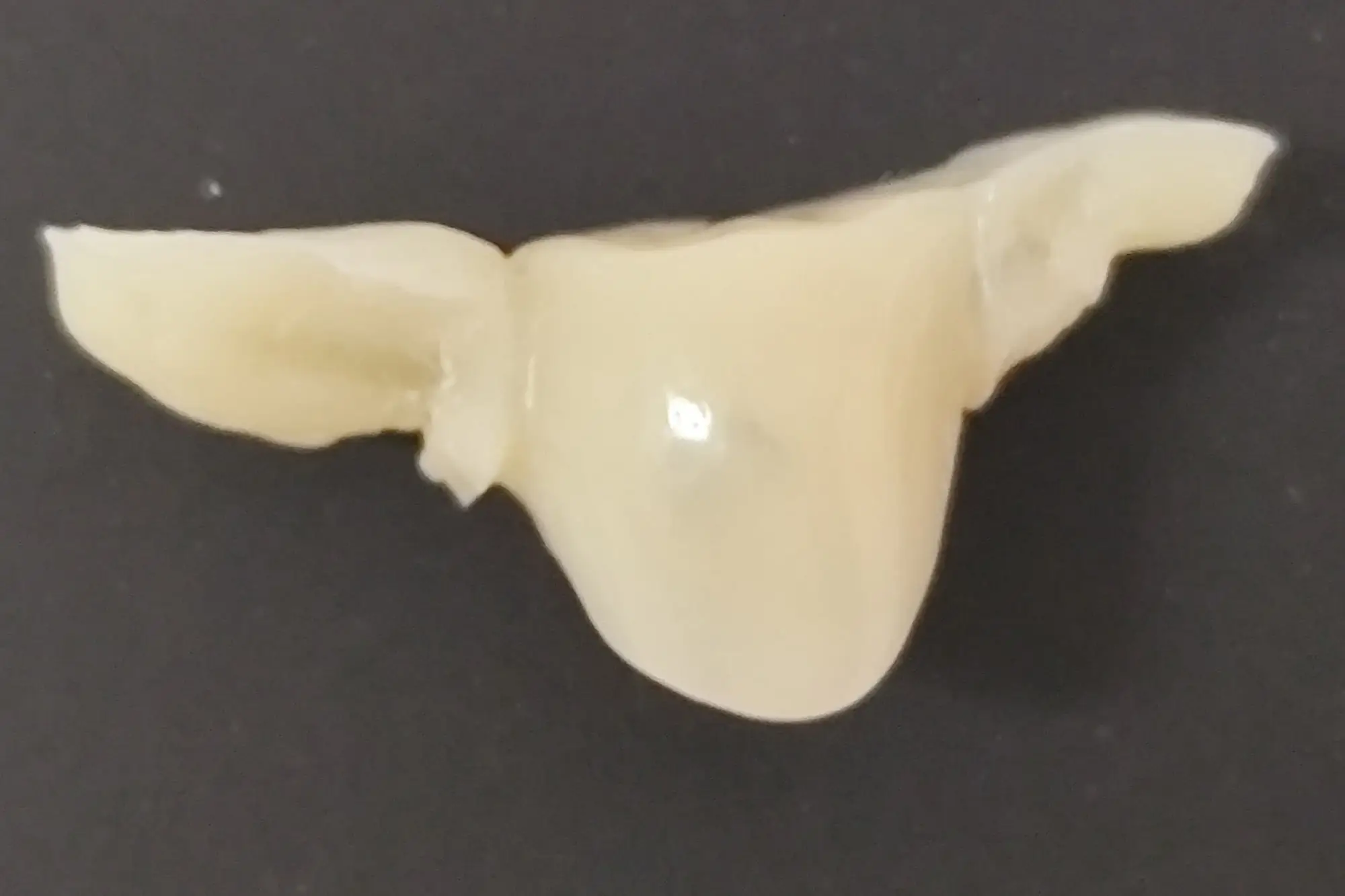 kompoziten most-3-min