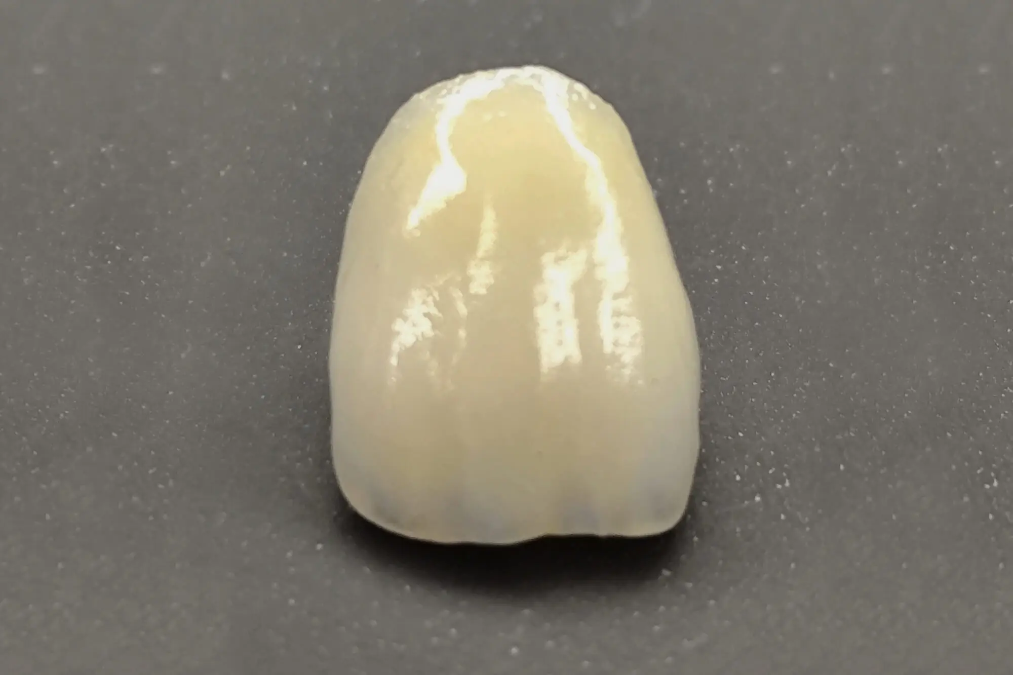 nepodvijno-protezirane (1)